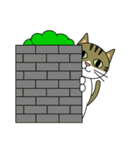 サバトラ美猫のコタ（個別スタンプ：40）