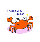 かめきちくん2（個別スタンプ：12）