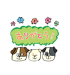 おいぬさまの日常（個別スタンプ：38）