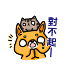 bandage bear＆shiba inu 02（個別スタンプ：7）