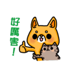 bandage bear＆shiba inu 02（個別スタンプ：8）