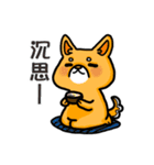 bandage bear＆shiba inu 02（個別スタンプ：28）