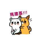 bandage bear＆shiba inu 02（個別スタンプ：34）