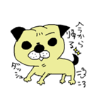 犬のかしげの日常パート2（個別スタンプ：13）