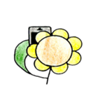 Sun Flower's DAY（個別スタンプ：8）