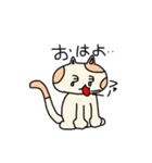 金持ち猫。（個別スタンプ：3）