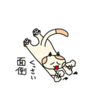 金持ち猫。（個別スタンプ：21）