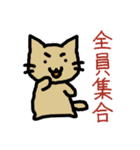 ゴロゴロ猫さん（個別スタンプ：10）
