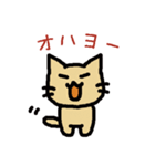 ゴロゴロ猫さん（個別スタンプ：19）