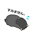Lifespanクエスト（個別スタンプ：12）