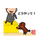 Lifespanクエスト（個別スタンプ：36）