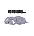 CAT！DIDI！（個別スタンプ：2）
