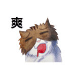 CAT！DIDI！（個別スタンプ：10）
