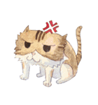 CAT！DIDI！（個別スタンプ：13）