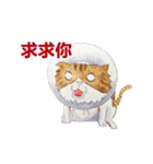 CAT！DIDI！（個別スタンプ：14）