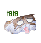 CAT！DIDI！（個別スタンプ：16）