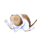 CAT！DIDI！（個別スタンプ：18）