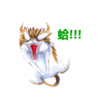 CAT！DIDI！（個別スタンプ：20）