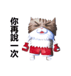 CAT！DIDI！（個別スタンプ：22）