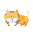 CAT！DIDI！（個別スタンプ：34）