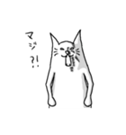 ねこねこねこね（個別スタンプ：31）