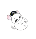 Pirate Chinchilla（個別スタンプ：6）