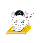 Pirate Chinchilla（個別スタンプ：18）