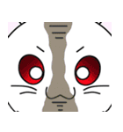 Pirate Chinchilla（個別スタンプ：20）