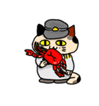 新潟を応援する猫「米六」（個別スタンプ：15）