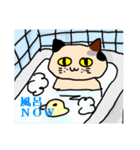 新潟を応援する猫「米六」（個別スタンプ：29）