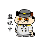 新潟を応援する猫「米六」（個別スタンプ：36）