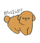 わんぷー（個別スタンプ：12）