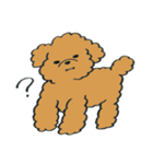 わんぷー（個別スタンプ：14）