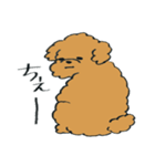 わんぷー（個別スタンプ：20）