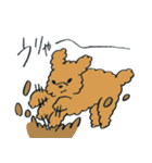 わんぷー（個別スタンプ：22）