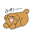 わんぷー（個別スタンプ：23）