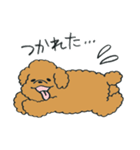 わんぷー（個別スタンプ：26）