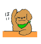 わんぷー（個別スタンプ：36）