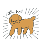 わんぷー（個別スタンプ：37）