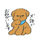 わんぷー（個別スタンプ：39）