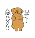 わんぷー（個別スタンプ：40）