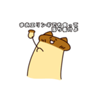 えりんぎねこ（個別スタンプ：6）