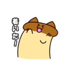えりんぎねこ（個別スタンプ：40）