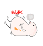 白いまつたけ マツリンちゃん（個別スタンプ：20）