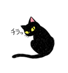 ツッコミ黒猫Miu（個別スタンプ：15）