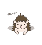 Hedgehog Kurimaru（個別スタンプ：39）