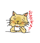 のびまるねこ（個別スタンプ：3）