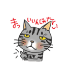 のびまるねこ（個別スタンプ：11）