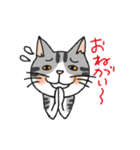 のびまるねこ（個別スタンプ：15）