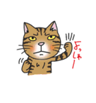 のびまるねこ（個別スタンプ：16）